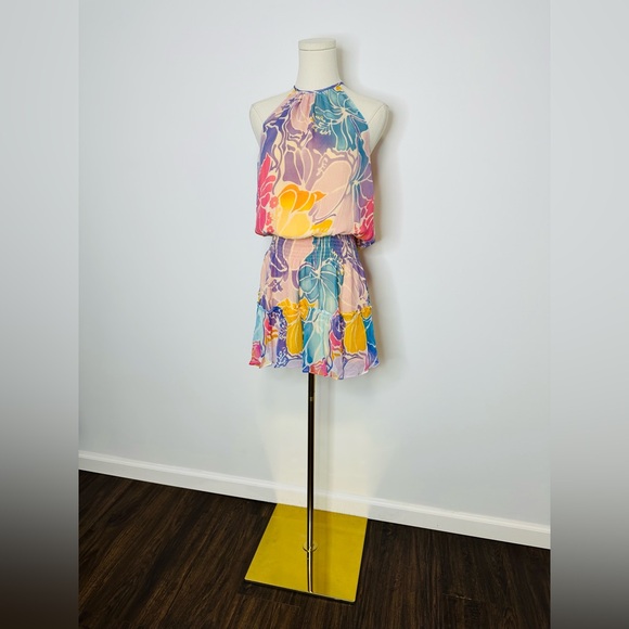 Ramy Brook Kourtney Smocked Floral Dress - Picture 4 of 9